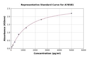 Representative standard curve for Human PAH ELISA kit (A78581)