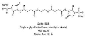 Sulfo-EGS (Ethylene glycol bis(sulfosuccinimidyl succinate)), Pierce™