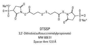 Pierce™ PEGylated BM (bismaleimido) Crosslinkers, Thermo Scientific