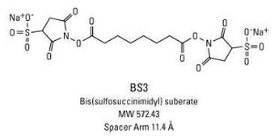 BS3 (Bis(sulfosuccinimidyl) suberate sodium salt) ≥93% (by NMR), Pierce™