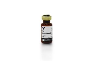 Lotus Tetragonolobus Lectin (LTL), unconjugated, 5 mg