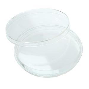 100×15 mm tissue culture treated dish w/grip ring, sterile
