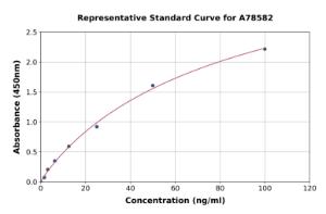 Representative standard curve for Rat Serpin B2/PAI-2 ELISA kit (A78582)