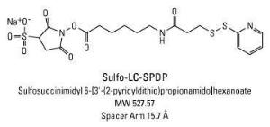 Sulfo-LC-SPDP (Sulfosuccinimidyl 6-(3'-(2-pyridyldithio)propionamido)hexanoate) ≥90%, Pierce™