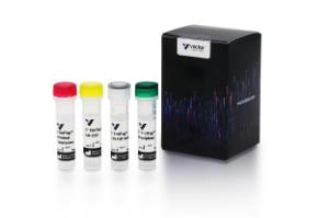 3' EndTag™ DNA End labeling System, 1 kit