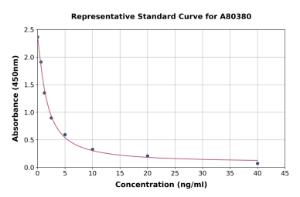 Representative standard curve for Rat Enkephalin/ENK ELISA kit (A80380)