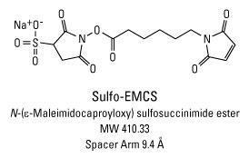 Sulfo-EMCS (N-(ε-maleimidocaproyloxy) sulfosuccinimide ester), Pierce™