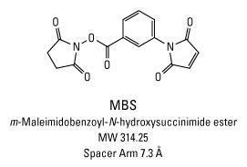 MBS (N-Succinimidyl 3-maleimidobenzoate), Pierce™
