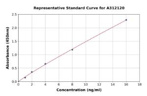 Representative standard curve for Human CTRP4 ELISA kit (A312120)