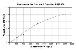 Representative standard curve for Human GDF11 ELISA kit (A312466)