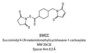 Pierce™ PEGylated SMCC Heterobifunctional Crosslinkers, Thermo Scientific