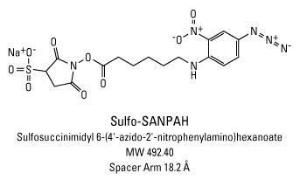 Sulfo-SANPAH (Sulfosuccinimidyl-6-(4′-azido-2′-nitrophenylamino)hexanoate), Pierce™