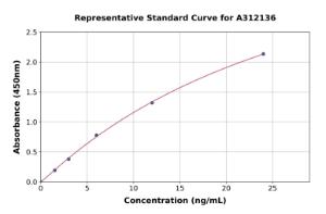 Representative standard curve for Human Angiopoietin 1 ELISA kit (A312136)