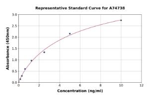 Representative standard curve for Human CSNK2A1 ELISA kit (A74738)