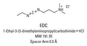 EDC-HCl (N-(3-Dimethylaminopropyl)-N'-ethylcarbodiimide hydrochloride), Pierce™