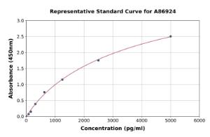 Representative standard curve for Rat Klotho ELISA kit (A86924)