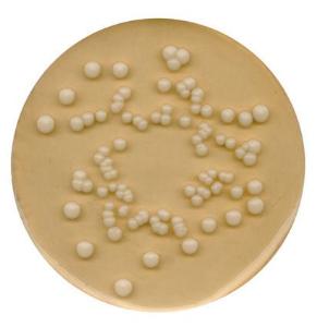 Potato dextrose agar