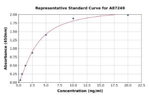 Representative standard curve for Human ICAM2 ELISA kit (A87249)