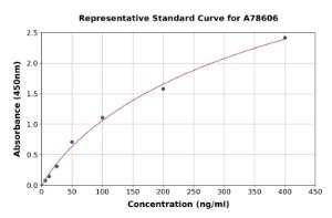 Representative standard curve for Human Serum Amyloid P/SAP ELISA kit (A78606)