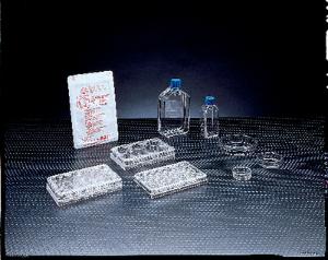 Corning® Primaria™ Cell Culture Flasks, Corning