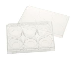 6 well tissue culture plate with lid, 20 mm glass bottom, individual, sterile