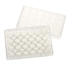 24 well tissue culture plate with lid, 10 mm glass bottom, individual, sterile