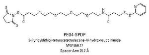 Pierce™ PEGylated SPDP Crosslinkers, Thermo Scientific