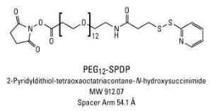 Pierce™ PEGylated BS (bis(sulfosuccinimidyl)suberate) Crosslinkers, Thermo Scientific