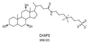 3-[(3-Cholamidopropyl)dimethylammonio]-1-propane sulfate (CHAPS) zwitterionic detergent, Pierce™