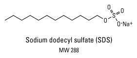 Sodium dodecyl sulfate (SDS), Pierce™
