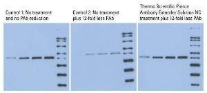 Pierce Miser™ Western Blotting Detection Reagents, Antibody Extender Solution NC, Thermo Scientific