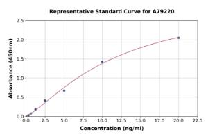 Representative standard curve for Human CNPase ELISA kit (A79220)
