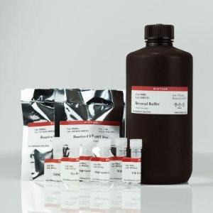 Total protein normalization kit 