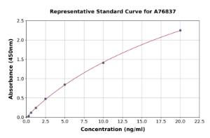 Representative standard curve for Human Integrin alpha V ELISA kit (A76837)