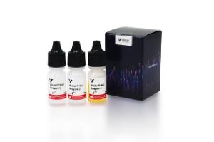 Vector® Red substrate kit, alkaline phosphatase (AP), 1 kit