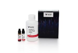 ImmPACT® Vector® Red substrate, alkaline phosphatase (AP), 120 ml