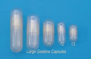 Large Gelatin Capsules, Electron Microscopy Sciences