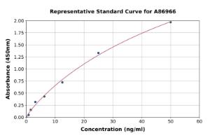 Representative standard curve for Human TP53 Antibody ELISA kit (A86966)