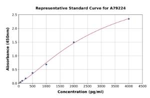 Representative standard curve for Rat Collagen II ELISA kit (A79224)