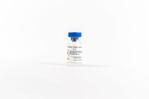 Protease (S. Aureus) V.8, 5 mg