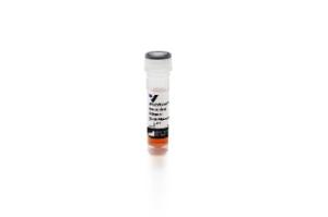 WestVision peroxidase polymer, anti-mouse IgG (western blot detection), 0.8 ml