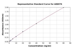 Representative standard curve for Mouse Calprotectin ELISA kit (A86976)