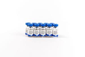 Complement, guinea pig , 10 x 1 ml
