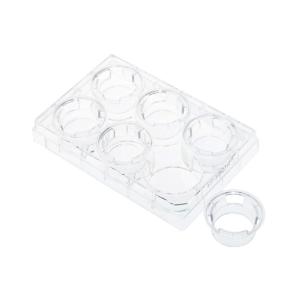 Permeable cell culture inserts, packed in 6 well plate, hanging, pc, 0.4 µm, sterile