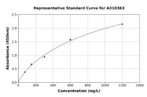 Representative standard curve for Human SNX11 ELISA kit (A310363)