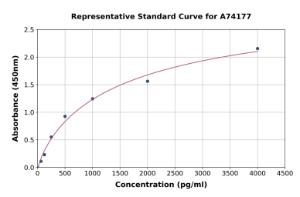 Representative standard curve for Rat BAFF ELISA kit (A74177)