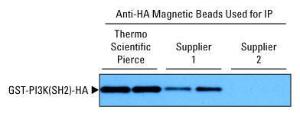 Pierce™ Anti-HA Magnetic Beads