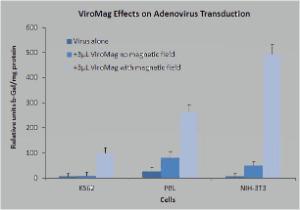 ViroMag Effect on Adenovirus Transduction