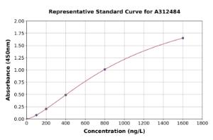 Representative standard curve for Human hnRNP D/AUF1 ELISA kit (A312484)