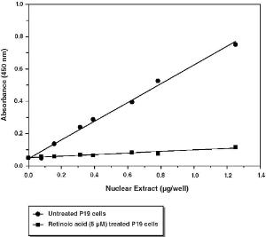 oct4 transcription factor assay kit